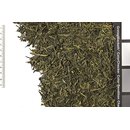 Sencha Vanille